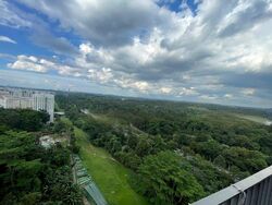 Eco Sanctuary (D23), Condominium #458545781